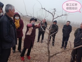 ͼΪ������Աָ��ְ���޼�����