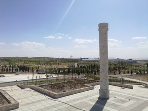 图为市民休闲森林公园一角