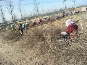 ͼΪְ���޼������