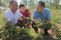 ͼΪ��κ�������ڲ鿴������Գ���